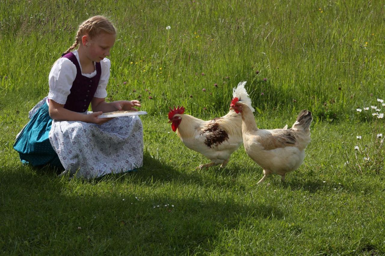 Beim Lenglacher Chieming Kültér fotó